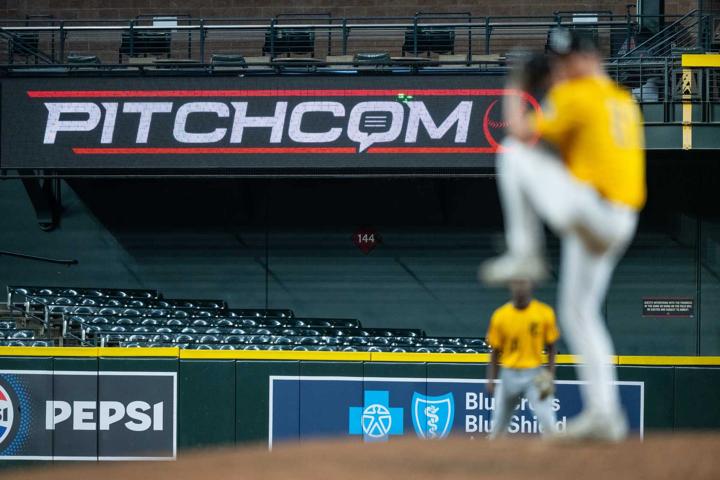 Travel ball catcher